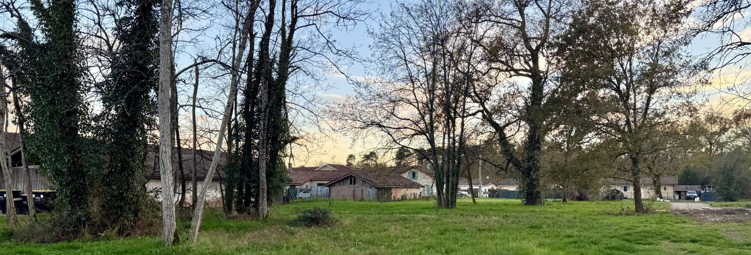 Terrain  1171 m² à vendre à Louchats (33125)