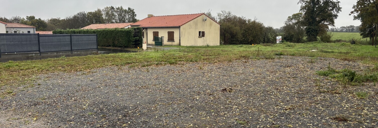 Photo N° 2