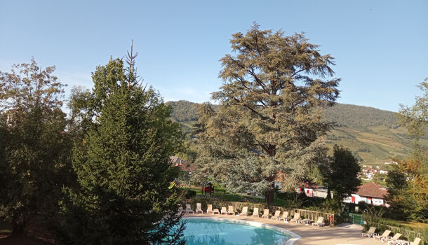 Appartement 2 pièces  à louer Saint-Jean-Pied-de-Port 64220