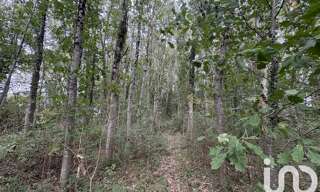 Terrain  44521 m² à vendre à Oudon (44521)