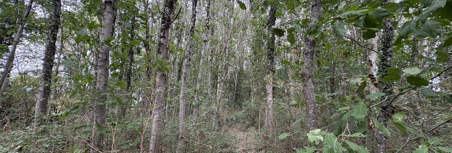 Terrain  44521 m² à vendre à Oudon (44521)