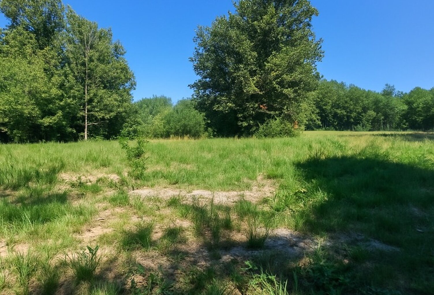 Terrain à vendre  FRONTENAC (33) — photo 1