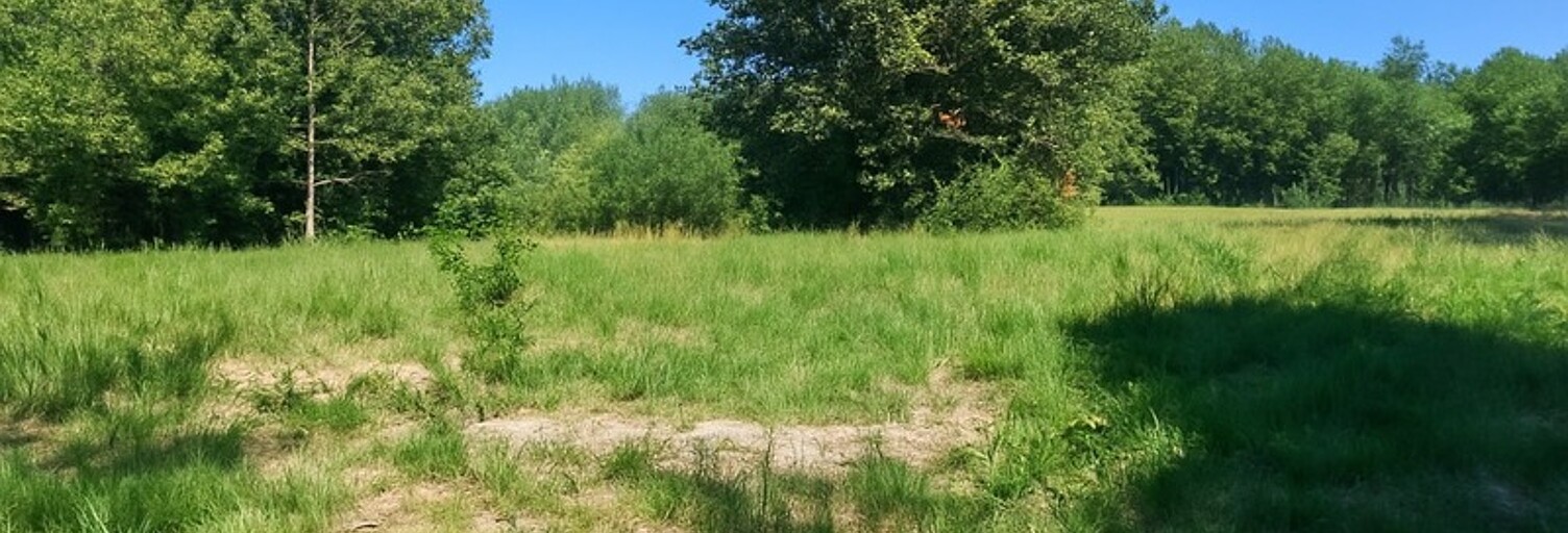 Terrain  916 m² à vendre à Frontenac (33760)