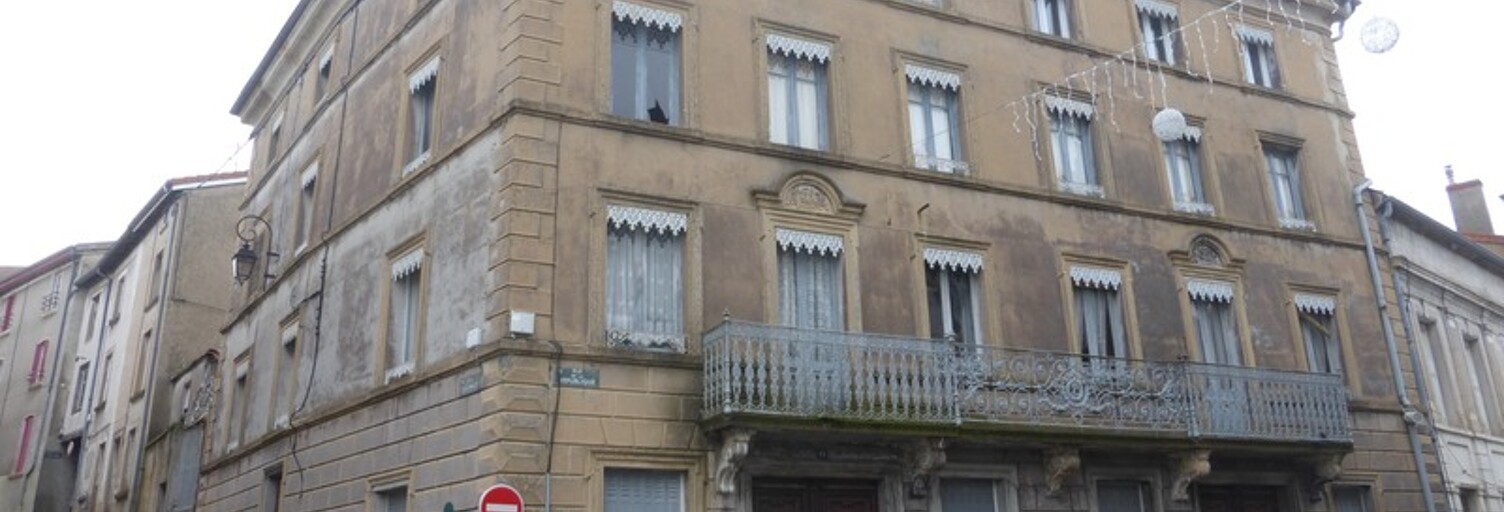 Maison 40 Pièces 1200 m² à vendre à Panissières (42360)