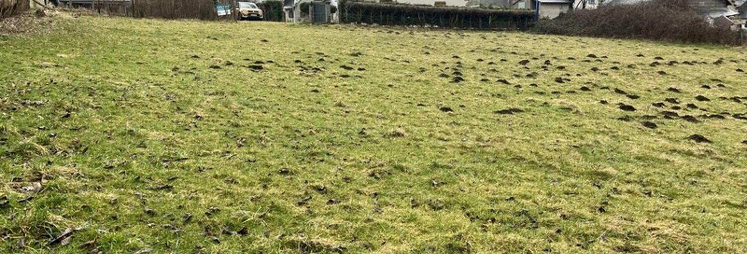 Terrain  1689 m² à vendre à Campan (65710)