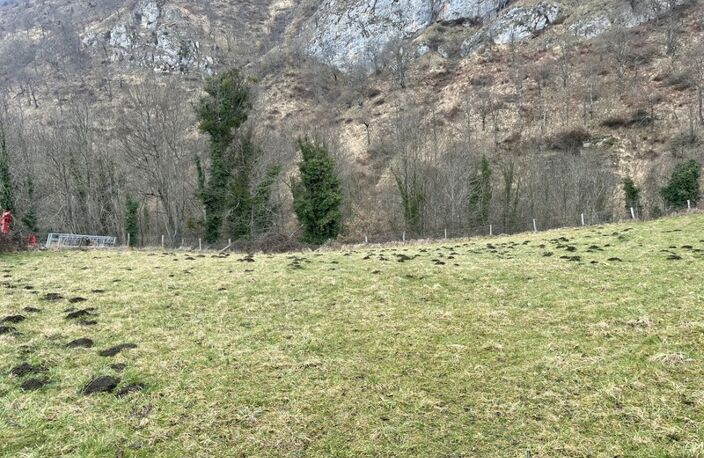 Terrain à vendre  CAMPAN (65) — photo 3