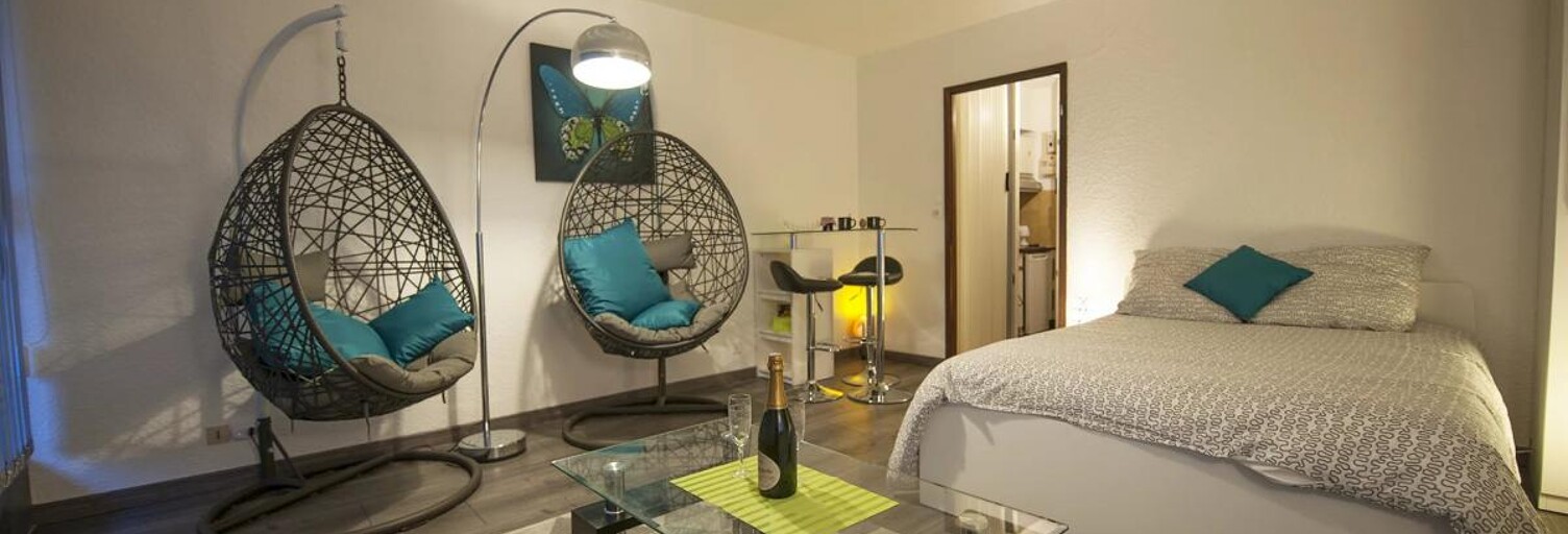 Appartement 1 Pièce 29 m² à vendre à Ammerschwihr (68410)