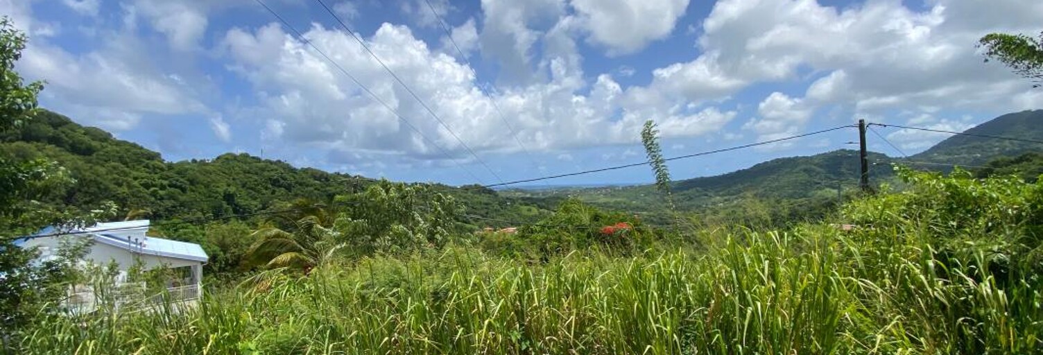 Terrain  988 m² à vendre à Le François (97240)