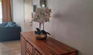 Appartement 3 Pièces 82 m² à louer à Fort-de-France (97200)