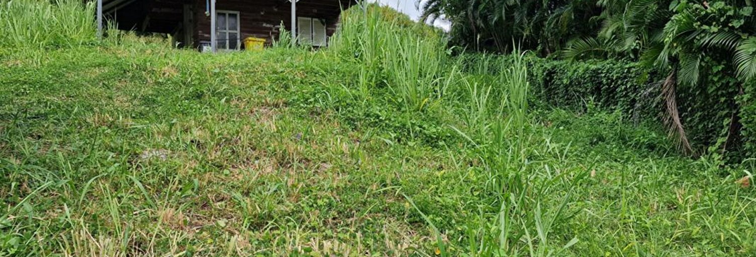 Terrain  1215 m² à vendre à Le Vauclin (97280)