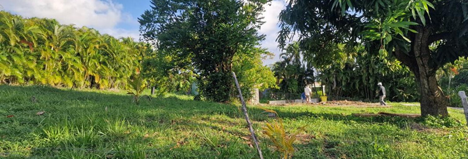 Terrain  1215 m² à vendre à Le Vauclin (97280)