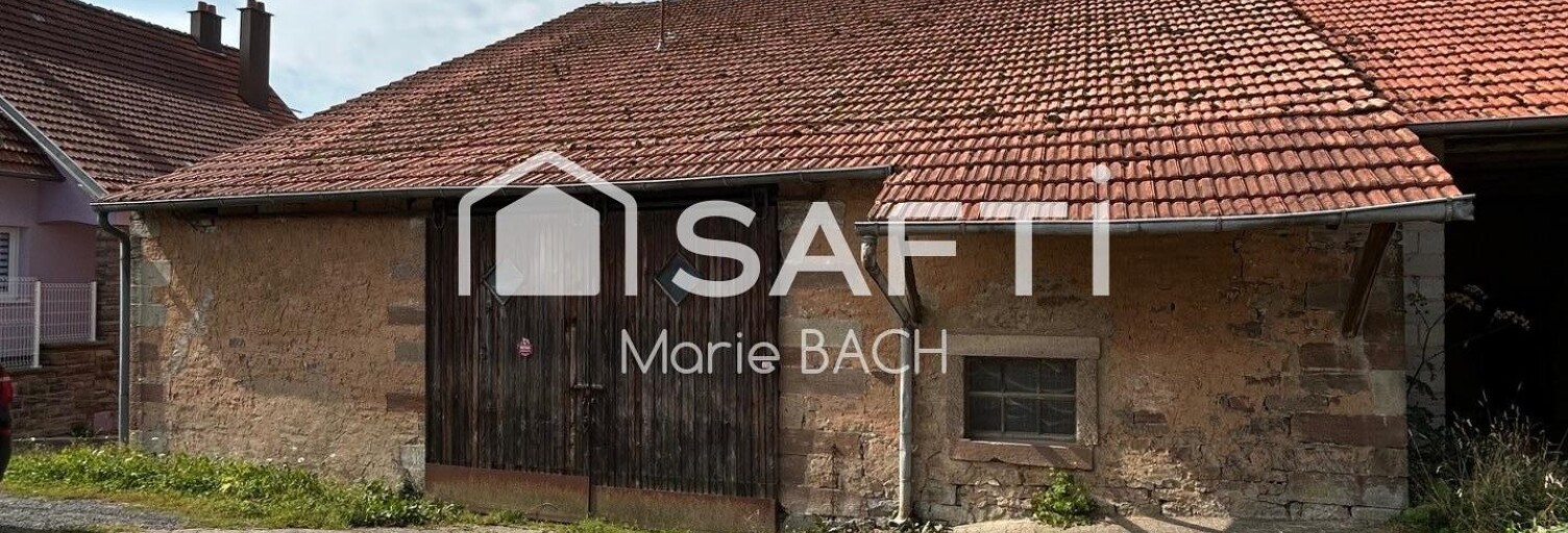 Maison 8 Pièces 300 m² à vendre à Ottwiller (67320)