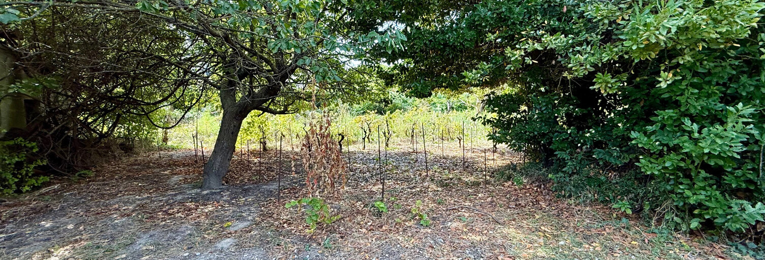 Terrain  600 m² à vendre à Lattes (34970)