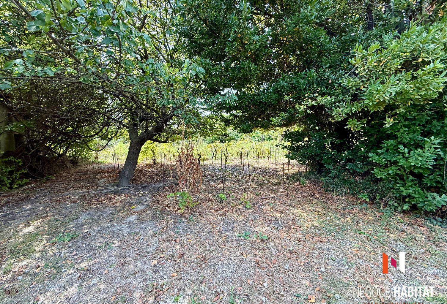 Terrain constructible de 455 m2  m2 Secteur PORT ARIANE — photo 1