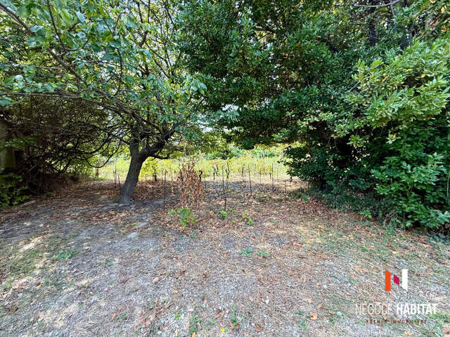 Terrain constructible de 455 m2  m2 Secteur PORT ARIANE — photo du bien