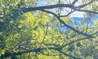 Terrain  850 m² à vendre à Plateau-des-Petites-Roches (38660)