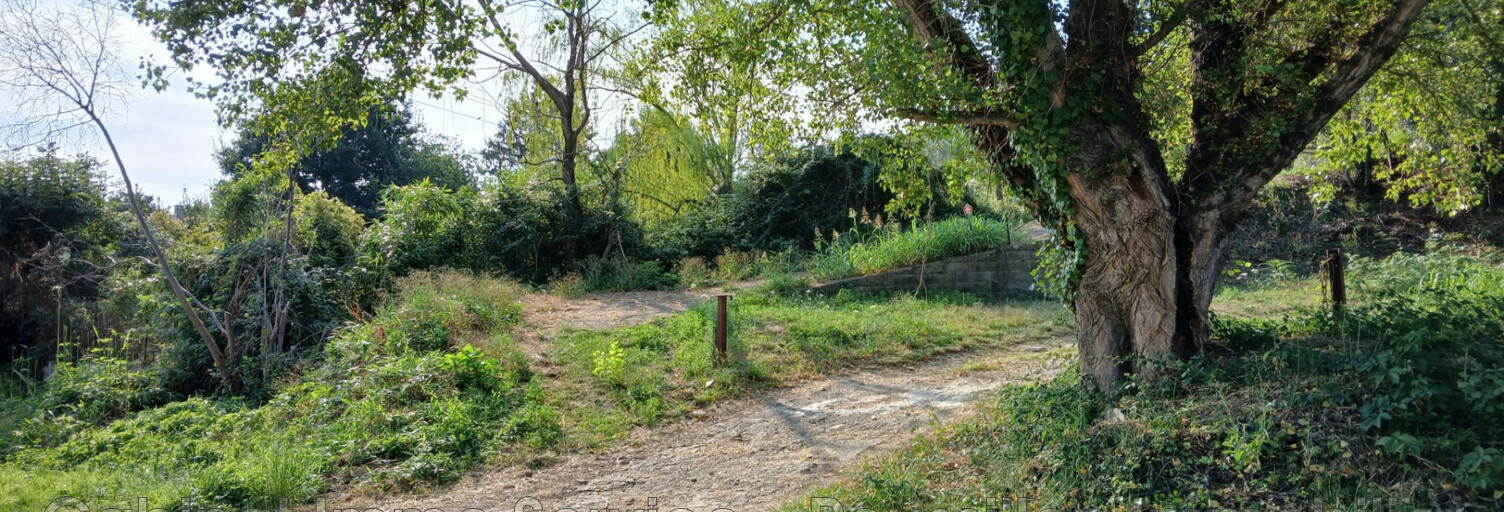 Terrain  1968 m² à vendre à Céret (66400)