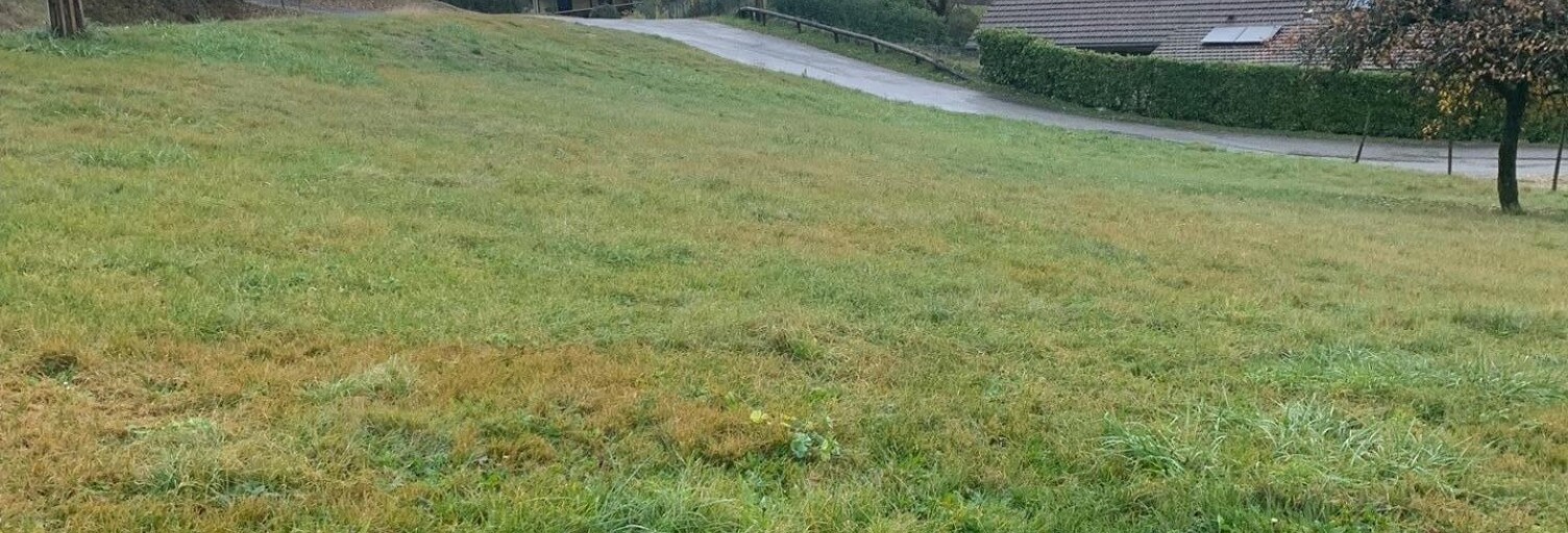 Terrain  1932 m² à vendre à Anglefort (01350)