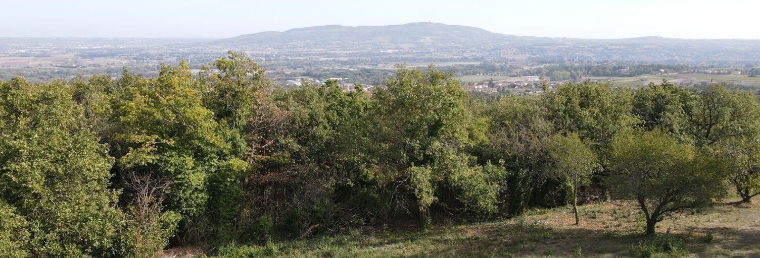 Terrain  1352 m² à vendre à Marcy (69480)