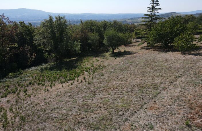 Terrain Viabilisé — photo 2