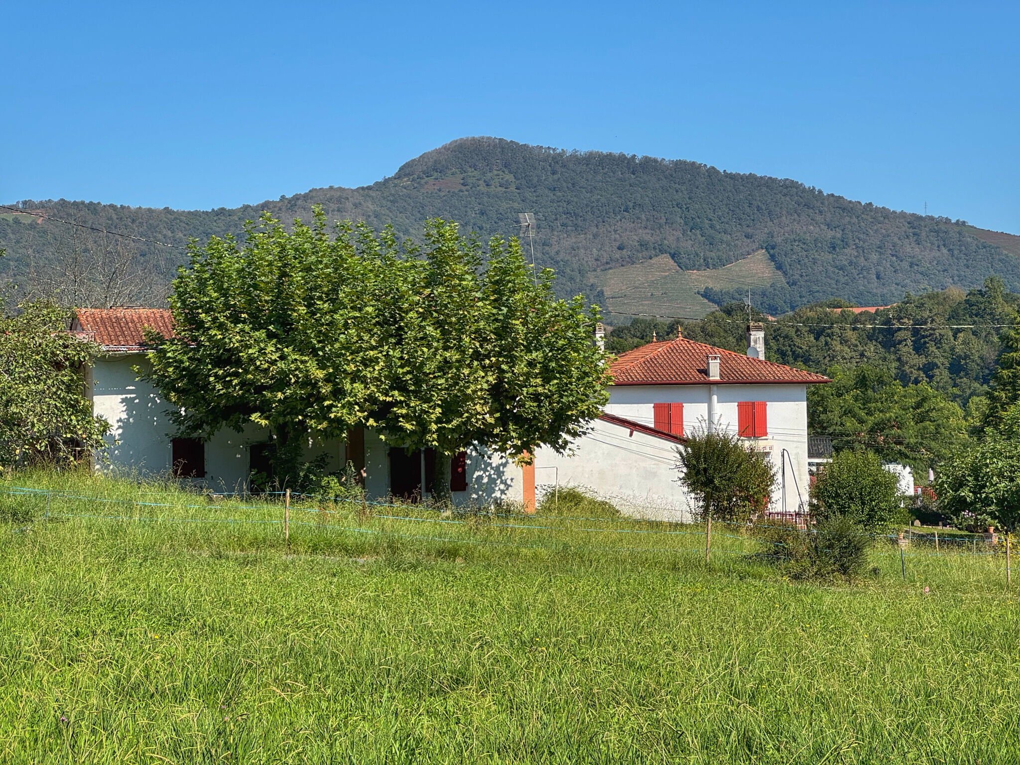 Terrain  à vendre Saint-Jean-Pied-de-Port 64220