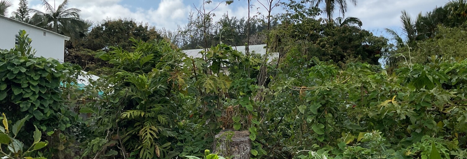 Terrain  462 m² à vendre à Saint-Joseph (97480)