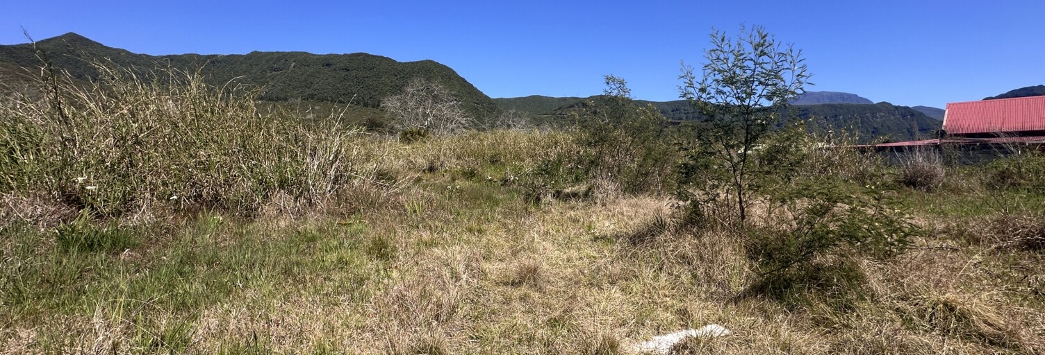 Terrain  4841 m² à vendre à La Plaine-des-Palmistes (97431)