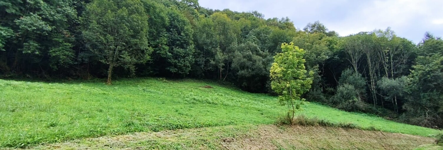 Terrain  5262 m² à vendre à Licq-Athérey (64560)