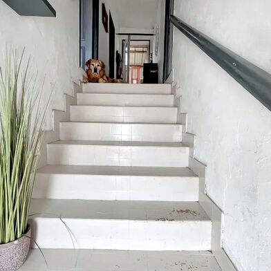 Maison 3 pièces 110000 €