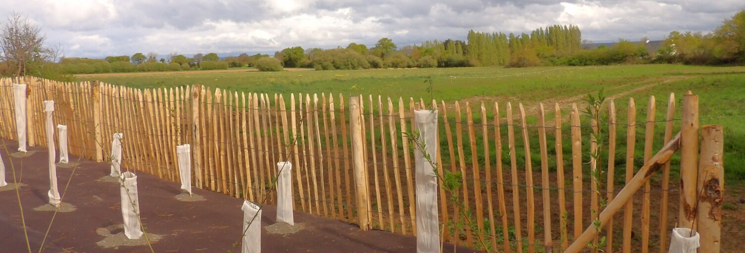 Terrain  460 m² à vendre à Plérin (22190)