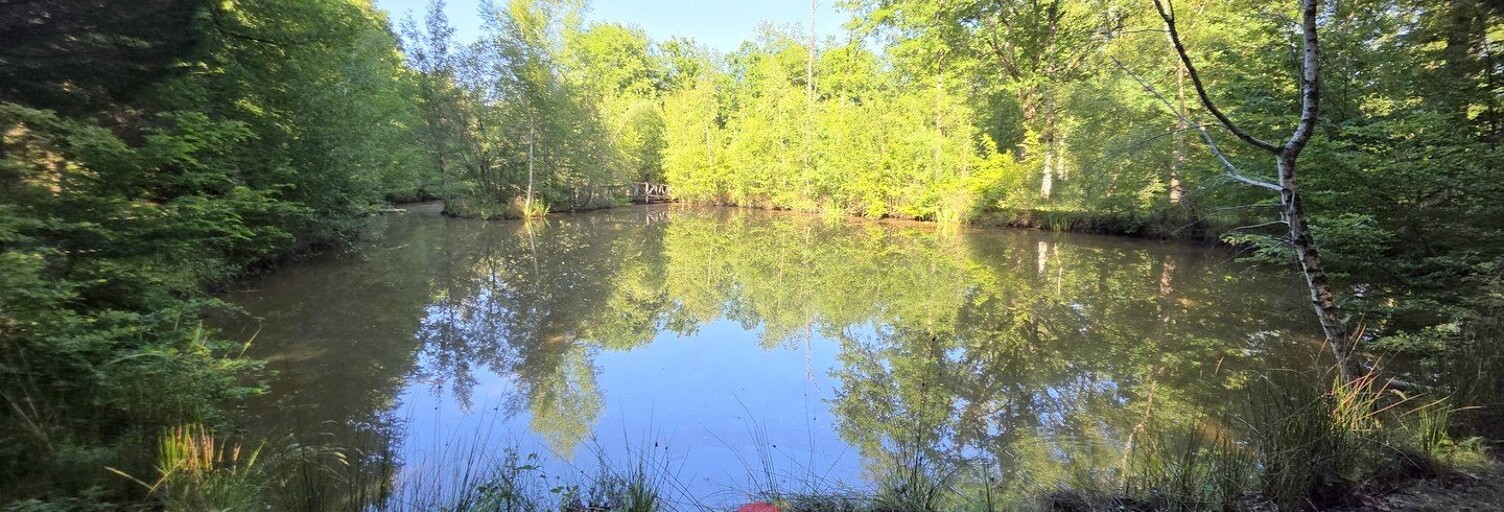 Terrain  129230 m² à vendre à Nouan-le-Fuzelier (41600)