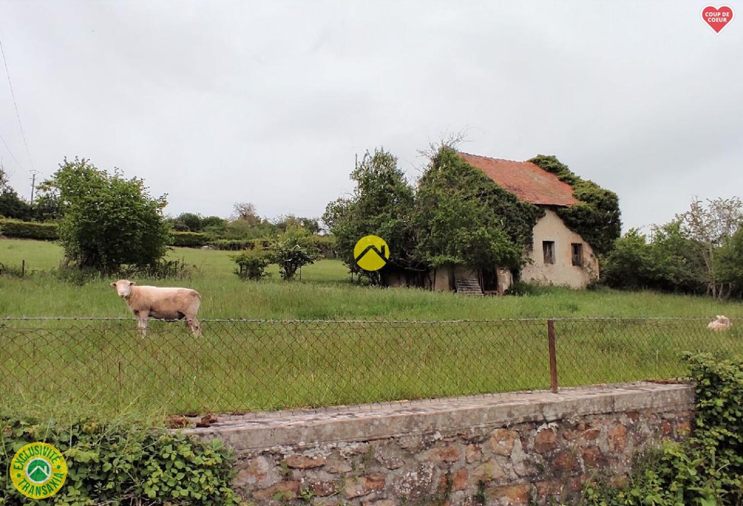 Terrain + Maison+ Dependances — photo 1