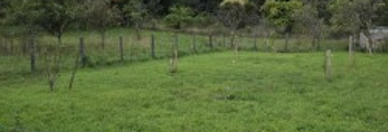 Terrain  1528 m² à vendre à Saint-Maurice-sous-les-Côtes (55210)