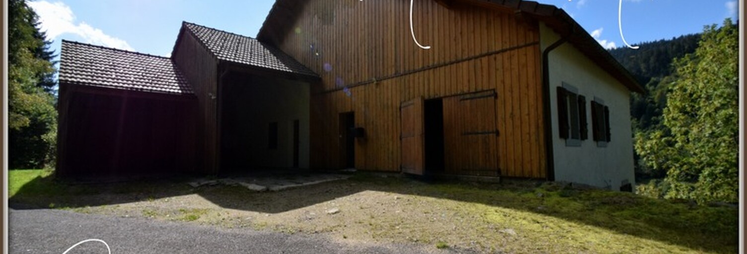 Maison 11 Pièces 272 m² à vendre à La Bresse (88250)