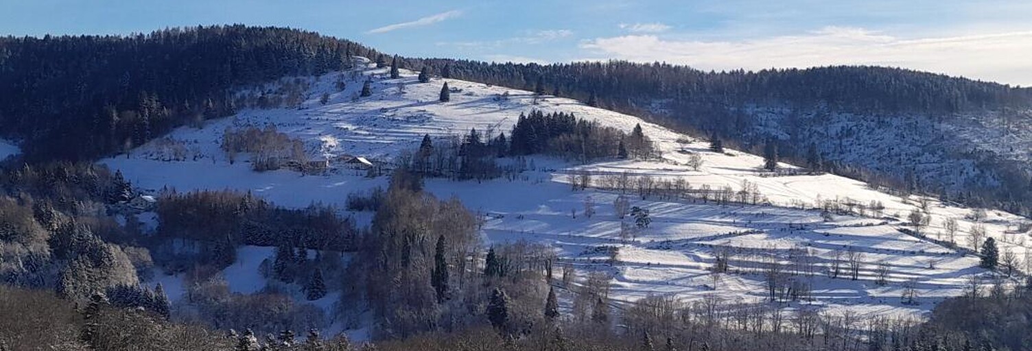 Maison 5 Pièces 188 m² à vendre à Le Thillot (88160)