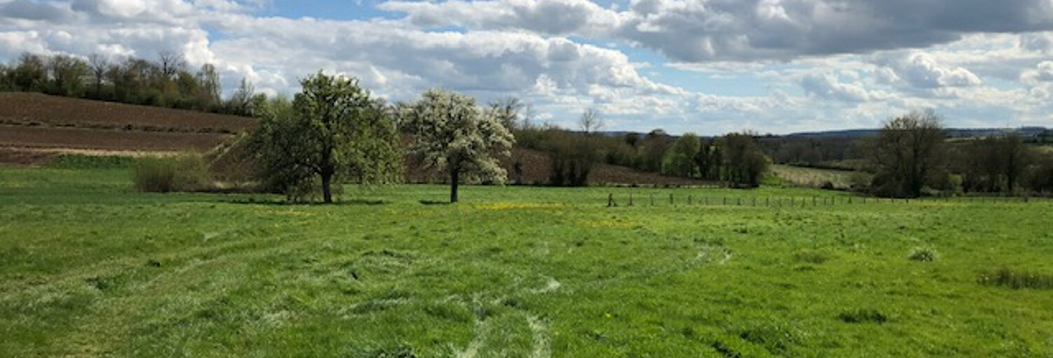 Terrain  1045 m² à vendre à Gournay-en-Bray (76220)