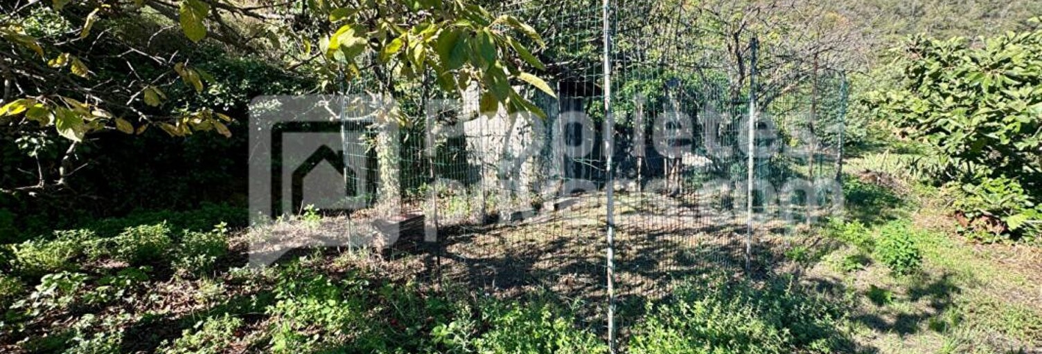 Maison 7 Pièces 149 m² à vendre à Ria-Sirach (66500)