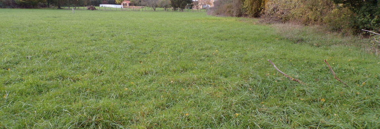 Terrain  2178 m² à vendre à Saint-Maurice-de-Satonnay (71260)