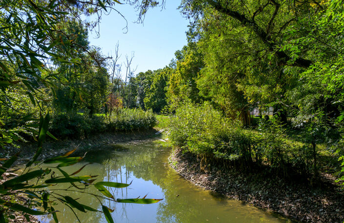 A VENDRE 15 MIN DE LA ROCHELLE - MARSILLY — photo 4