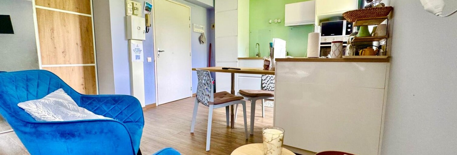 Appartement 1 Pièce 32 m² à vendre à Ussat (09400)