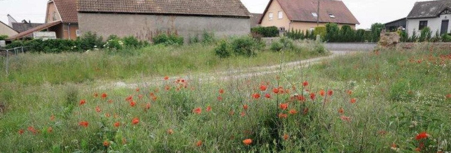 Terrain  492 m² à vendre à Hirtzfelden (68740)