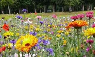 Terrain  860 m² à vendre à Les Ormes (86220)