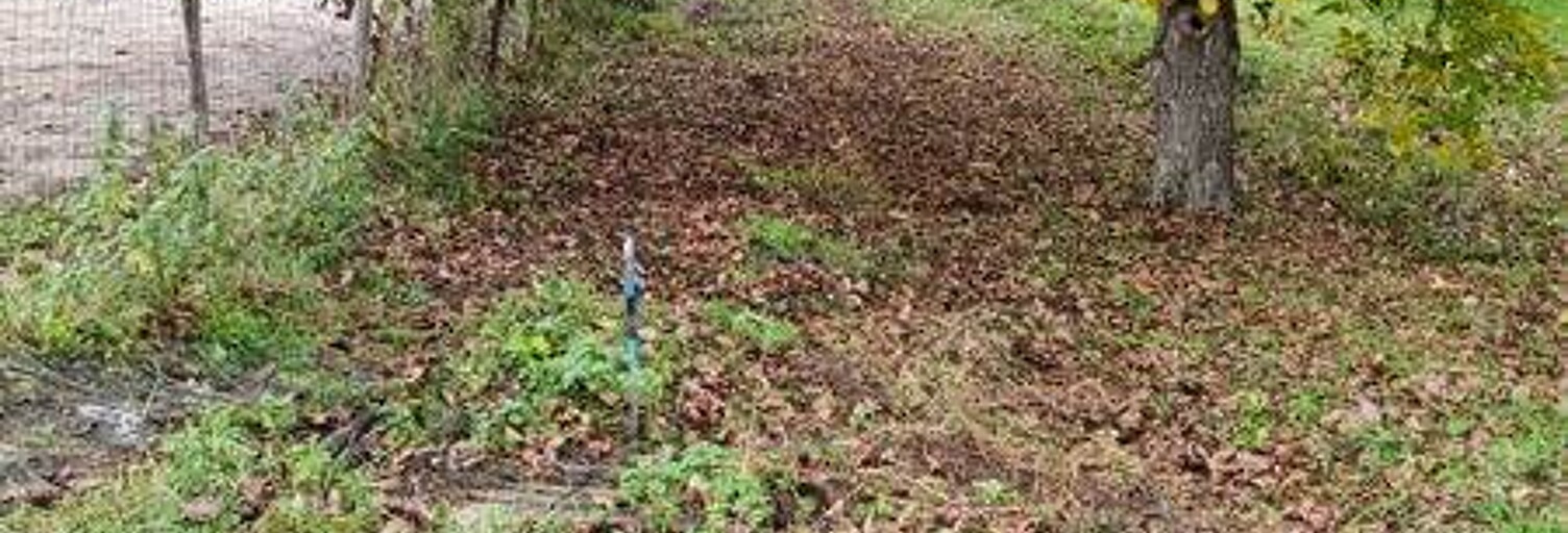 Terrain  173 m² à vendre à Lussault-sur-Loire (37400)