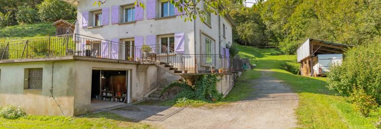 Maison 7 Pièces 174 m² à vendre à Nescus (09240)