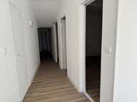 Commerce  45 m² — photo 4