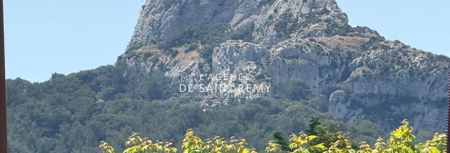 Maison 9 Pièces 405 m² à vendre à Saint-Rémy-de-Provence (13210)