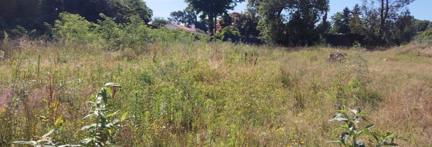 Terrain  468 m² à vendre à Narrosse (40180)