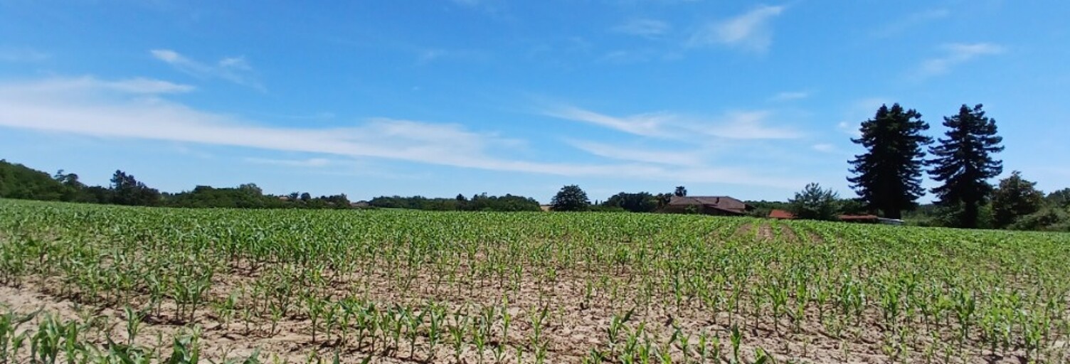 Terrain  769 m² à vendre à Mugron (40250)