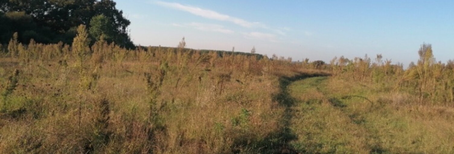 Terrain  600 m² à vendre à Préchacq-les-Bains (40465)