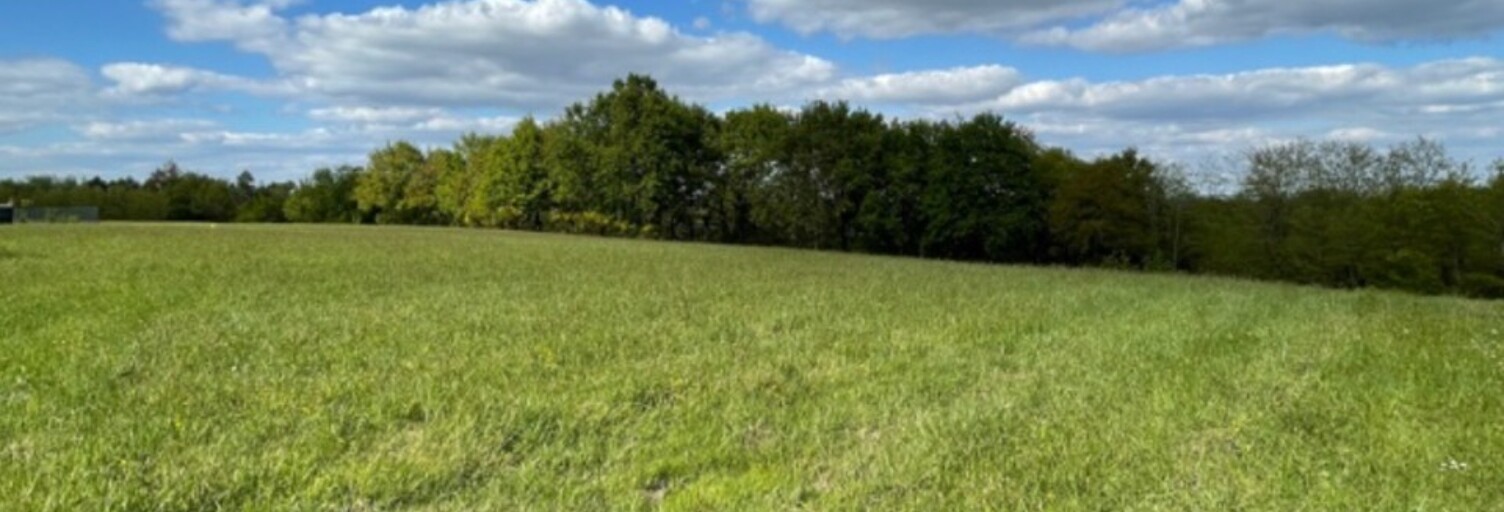 Terrain  2450 m² à vendre à Horsarrieu (40700)